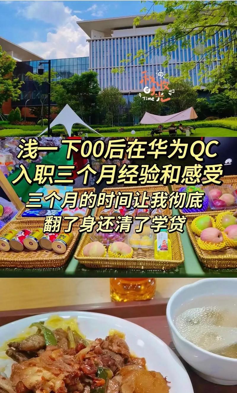 华为工厂与民办培训服务机构 就业链条上的正向协同与责任边界